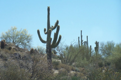 Bulldog Canyon | AZoffroading.com