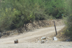 Bulldog Canyon | AZoffroading.com