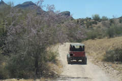 Bulldog Canyon | AZoffroading.com