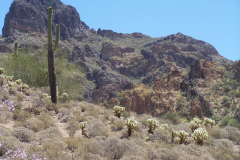 Bulldog Canyon | AZoffroading.com