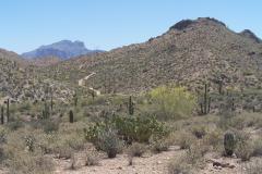 Bulldog Canyon | AZoffroading.com