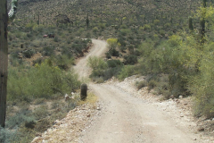 Bulldog Canyon | AZoffroading.com