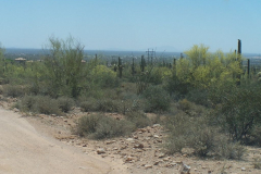 Bulldog Canyon | AZoffroading.com