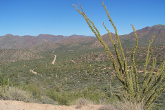Apache Trail | AZoffroading.com