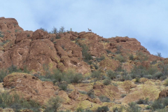 Box Canyon | AZoffroading.com