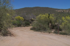 Bulldog Canyon | AZoffroading.com