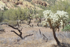 Bulldog Canyon | AZoffroading.com