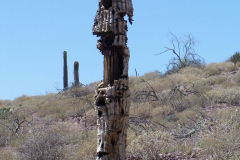 Bulldog Canyon | AZoffroading.com