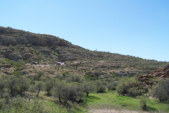 Coke Ovens | AZoffroading.com