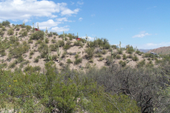 Coke Ovens | AZoffroading.com