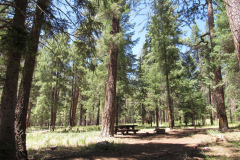 Diamond Rock Campground | AZoffroading.com