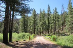 Diamond Rock Campground | AZoffroading.com