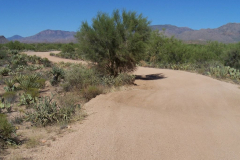 Four Peaks | AZoffroading.com