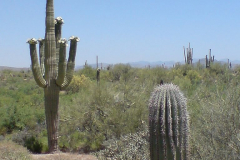 Four Peaks | AZoffroading.com