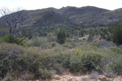 Four Peaks | AZoffroading.com