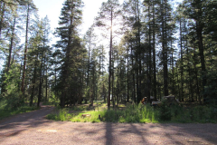 Hannagan Meadow Campground | AZoffroading.com