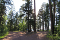 Hannagan Meadow Campground | AZoffroading.com