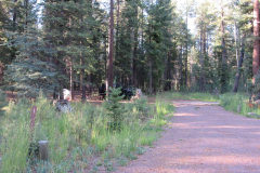 Hannagan Meadow Campground | AZoffroading.com