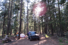 Hannagan Meadow Campground | AZoffroading.com