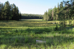 Hannagan Meadow Campground | AZoffroading.com