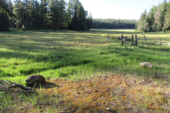 Hannagan Meadow Campground | AZoffroading.com