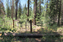 Hannagan Meadow Campground | AZoffroading.com