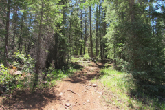 Hannagan Meadow Campground | AZoffroading.com
