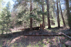 Hannagan Meadow Campground | AZoffroading.com