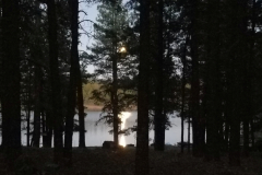 Hawley Lake Campground | AZoffroading.com