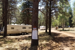 Hawley Lake Campground | AZoffroading.com