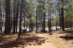 Hawley Lake Campground | AZoffroading.com