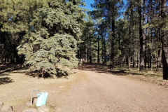 Hawley Lake Campground | AZoffroading.com