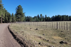Hawley Lake Campground | AZoffroading.com