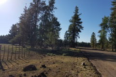 Hawley Lake Campground | AZoffroading.com