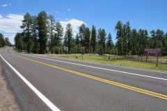 Hawley Lake Campground | AZoffroading.com