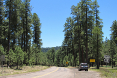 Hawley Lake Campground | AZoffroading.com