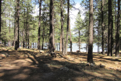 Hawley Lake Campground | AZoffroading.com