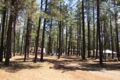 Hawley Lake Campground | AZoffroading.com