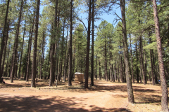 Hawley Lake Campground | AZoffroading.com