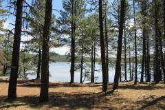 Hawley Lake Campground | AZoffroading.com