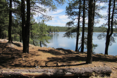 Hawley Lake Campground | AZoffroading.com