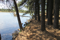 Hawley Lake Campground | AZoffroading.com
