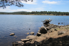 Hawley Lake Campground | AZoffroading.com