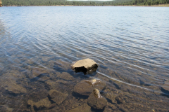 Hawley Lake Campground | AZoffroading.com