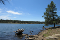 Hawley Lake Campground | AZoffroading.com