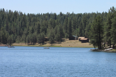 Hawley Lake Campground | AZoffroading.com