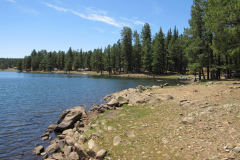 Hawley Lake Campground | AZoffroading.com