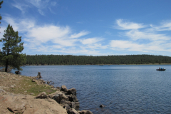 Hawley Lake Campground | AZoffroading.com