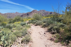 Hieroglyphic Trail | AZoffroading.com