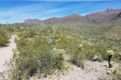 Hieroglyphic Trail | AZoffroading.com